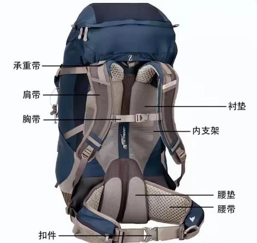 多重背包问题如何深入剖析其复杂性和解决策略？