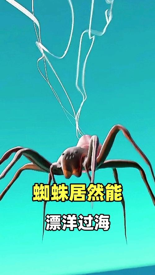 百度独门秘技‘秒速蜘蛛’真的能让网站流量激增吗？