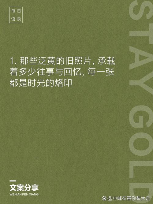 美图宝库收录的艺术美图，能帮我留住哪些难忘时光的魅力？