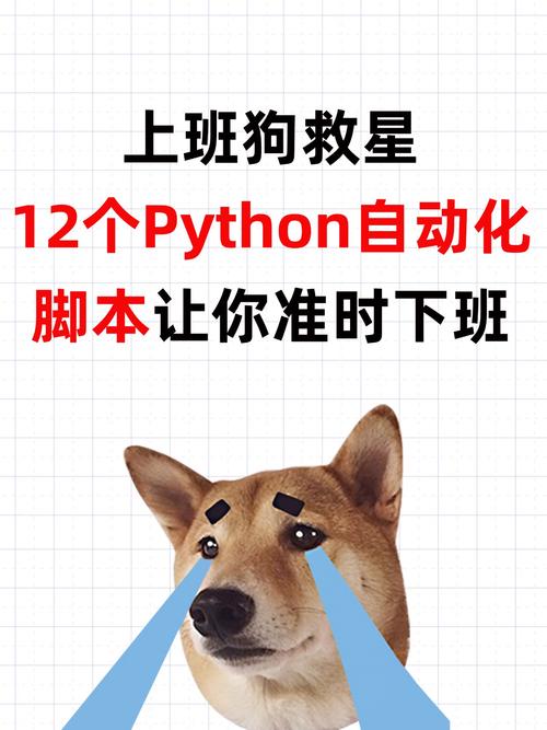 Python自动关机工具，让我下班不再延误？