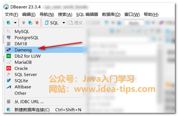 如何使用.NET进行数据库连接及实现增删改查操作教程详细步骤？