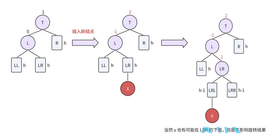 Map和Set在编程中分别代表什么数据结构？