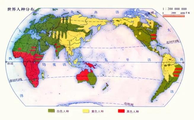 世界上最大的三大人种数据库分别是什么？