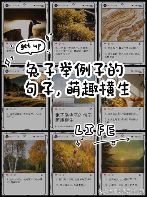 PHP如何用递归算法改写兔子生兔子问题成长尾？