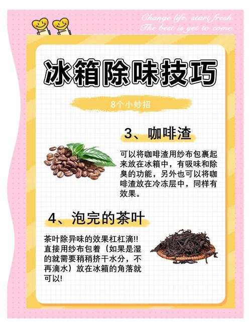 如何快速去除冰箱异味，恢复清新环境？