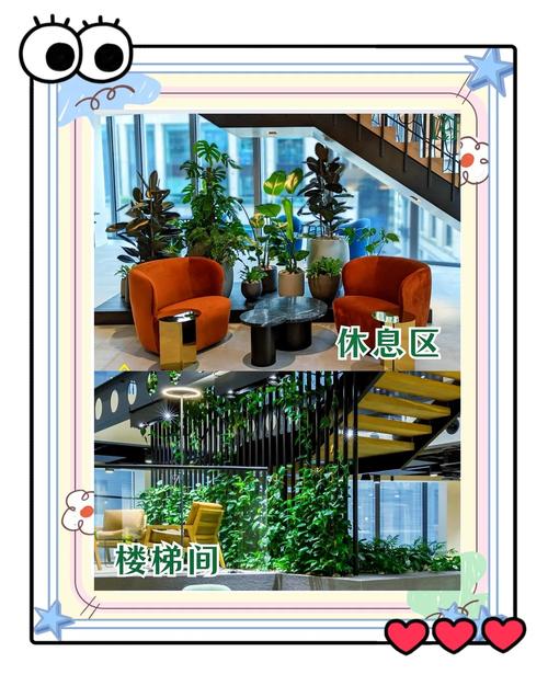 如何配置环境以达到最佳使用效果？