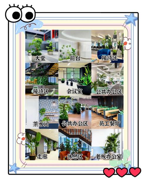 如何配置环境以达到最佳使用效果？