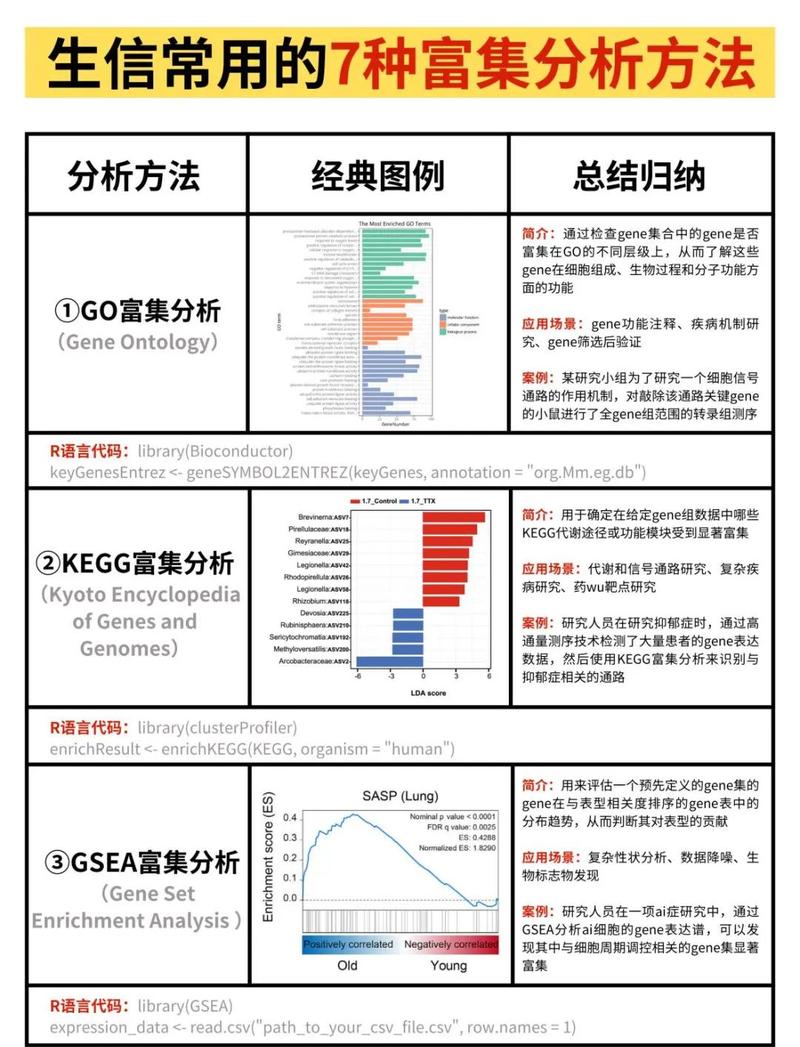 二次元研究数据库具体包含哪些内容？