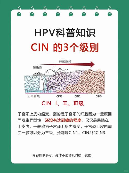 C中cin是什么意思？