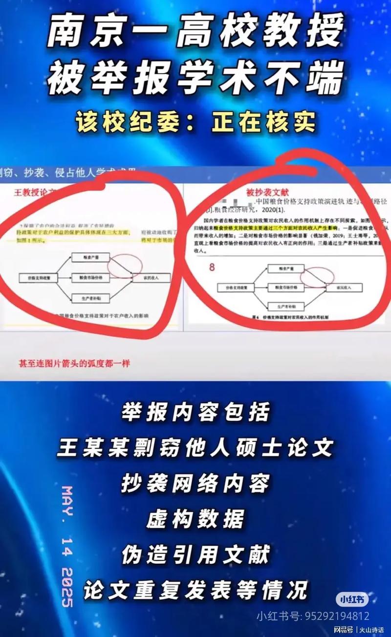 如何有效应对网站文章被抄袭现象？