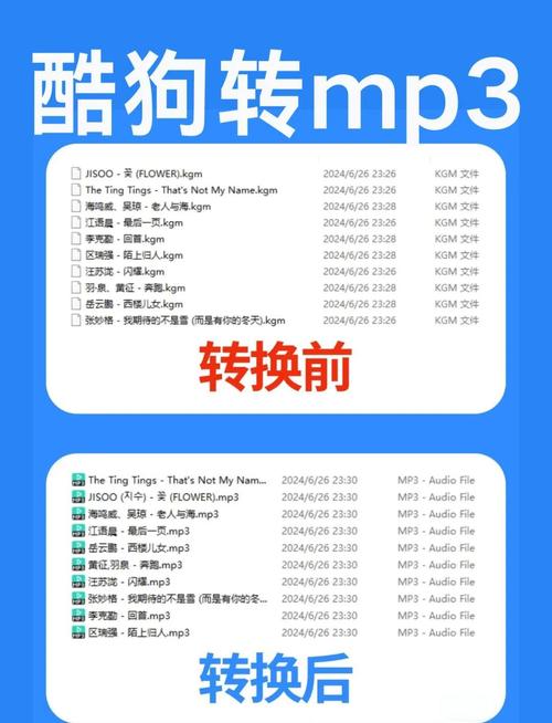 如何找到两款全网无损音乐免费下载的最好软件？