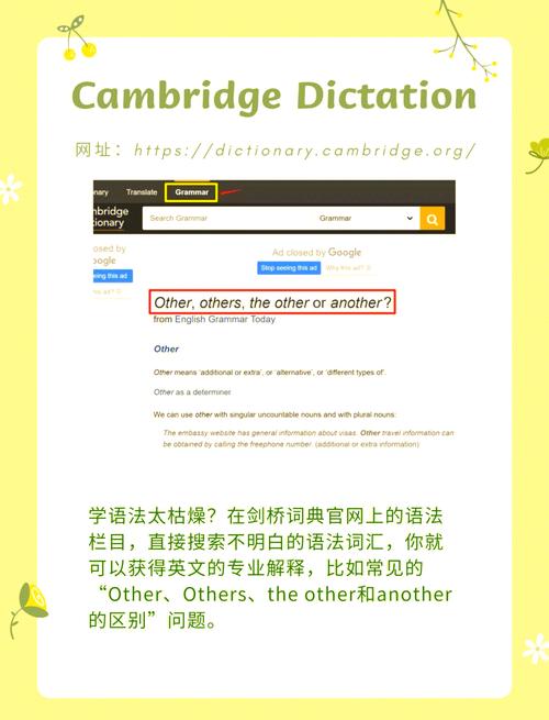 如何打造专业英语网站建设方案，构建高效英语学习平台并获取官方网址链接？