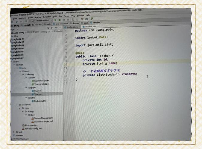 如何深入理解并高效实现Mybatis中的一对多与多对一查询处理？