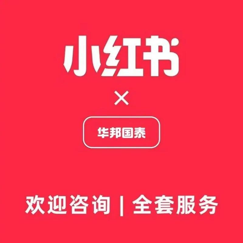 哪家网络优化公司能打造爆款效果最佳？