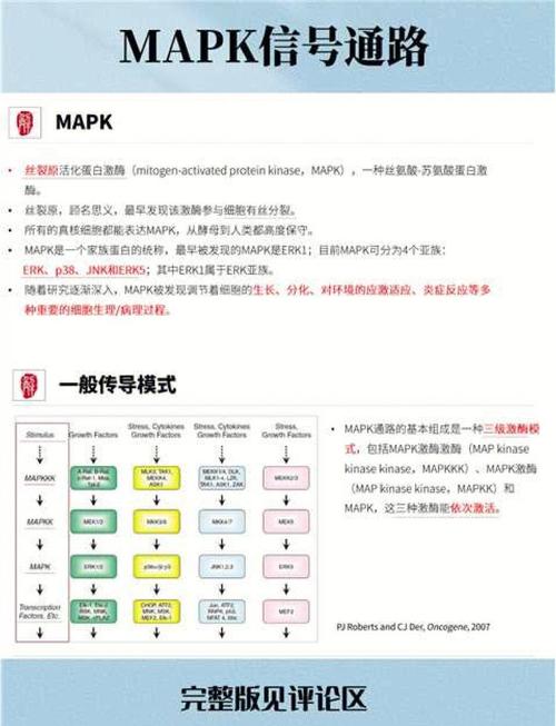 Linux SIGTERM 信号如何有效捕获处理？