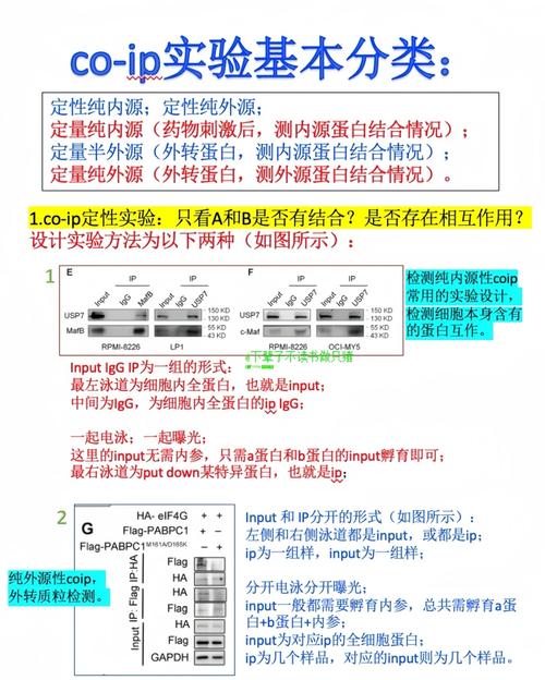 如何通过第六次C上机实验，掌握长尾关键词优化技巧？