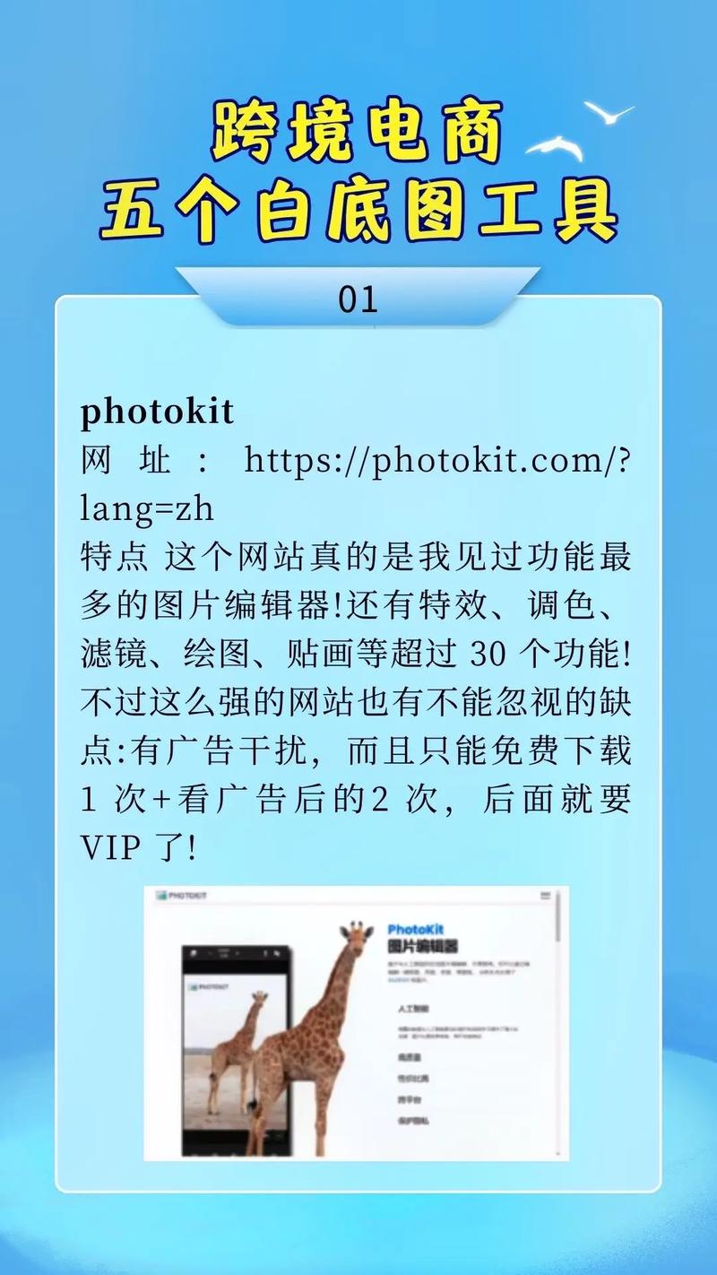 独立站产品图片需要做白底图吗？