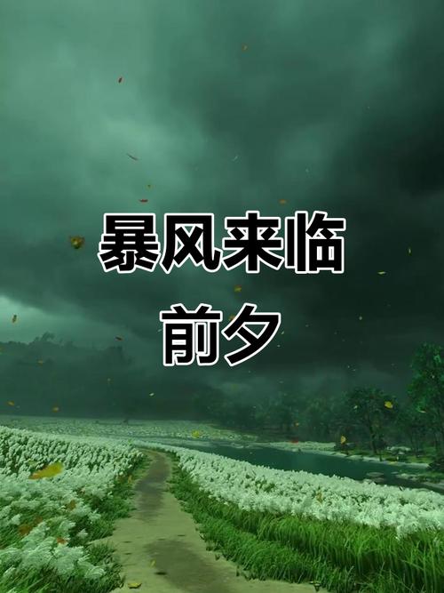 这片宁静之下，难道不是曾经的狂风暴雨所遗留？