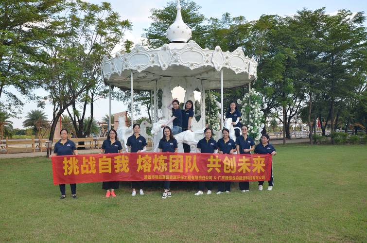 舟山SEO哪家团队专业优化效果最好？首选哪个团队？