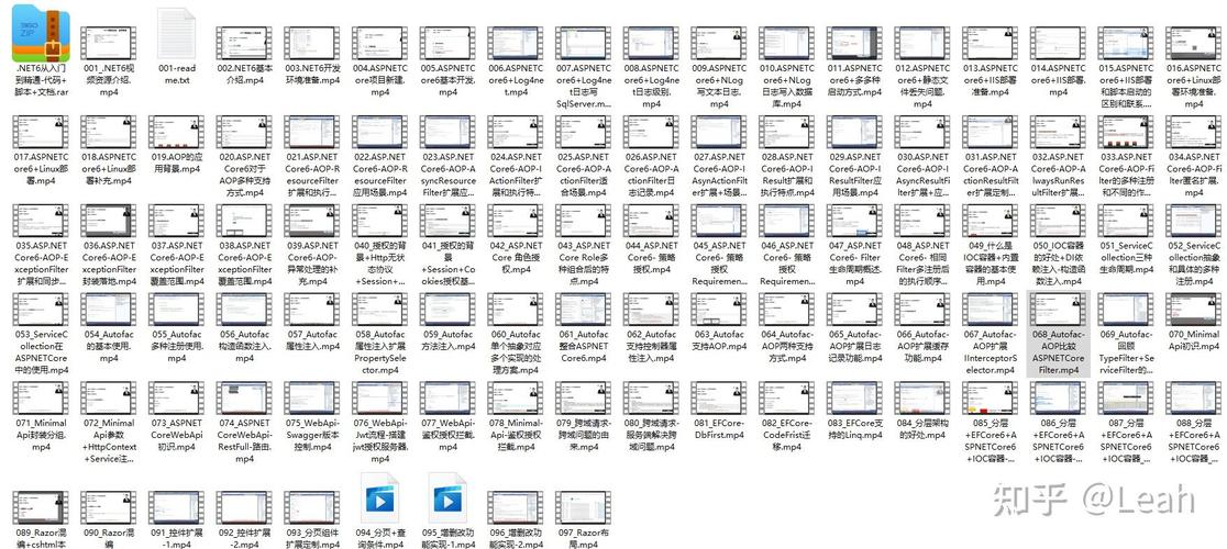 Blazor Hybrid和MAUI如何结合进行高效开发？