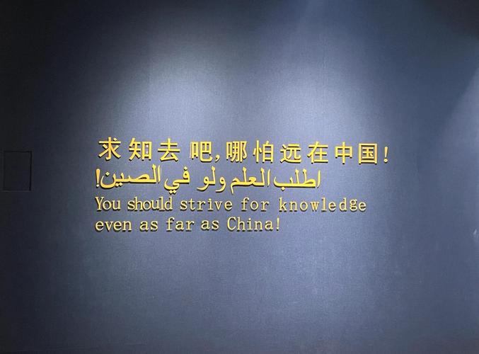 请问，你从哪里来，为何停留在此地？