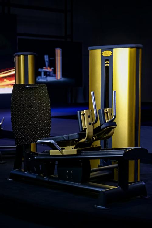 Gym - 101341D是什么健身器材？