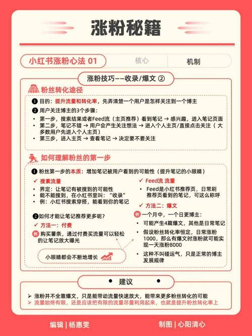 爆款运营秘籍，平台攻略大揭秘是啥？