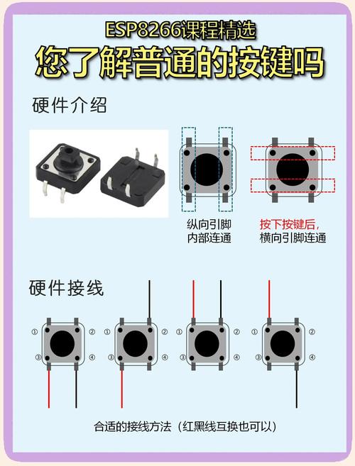Lua中的主要功能有哪些？