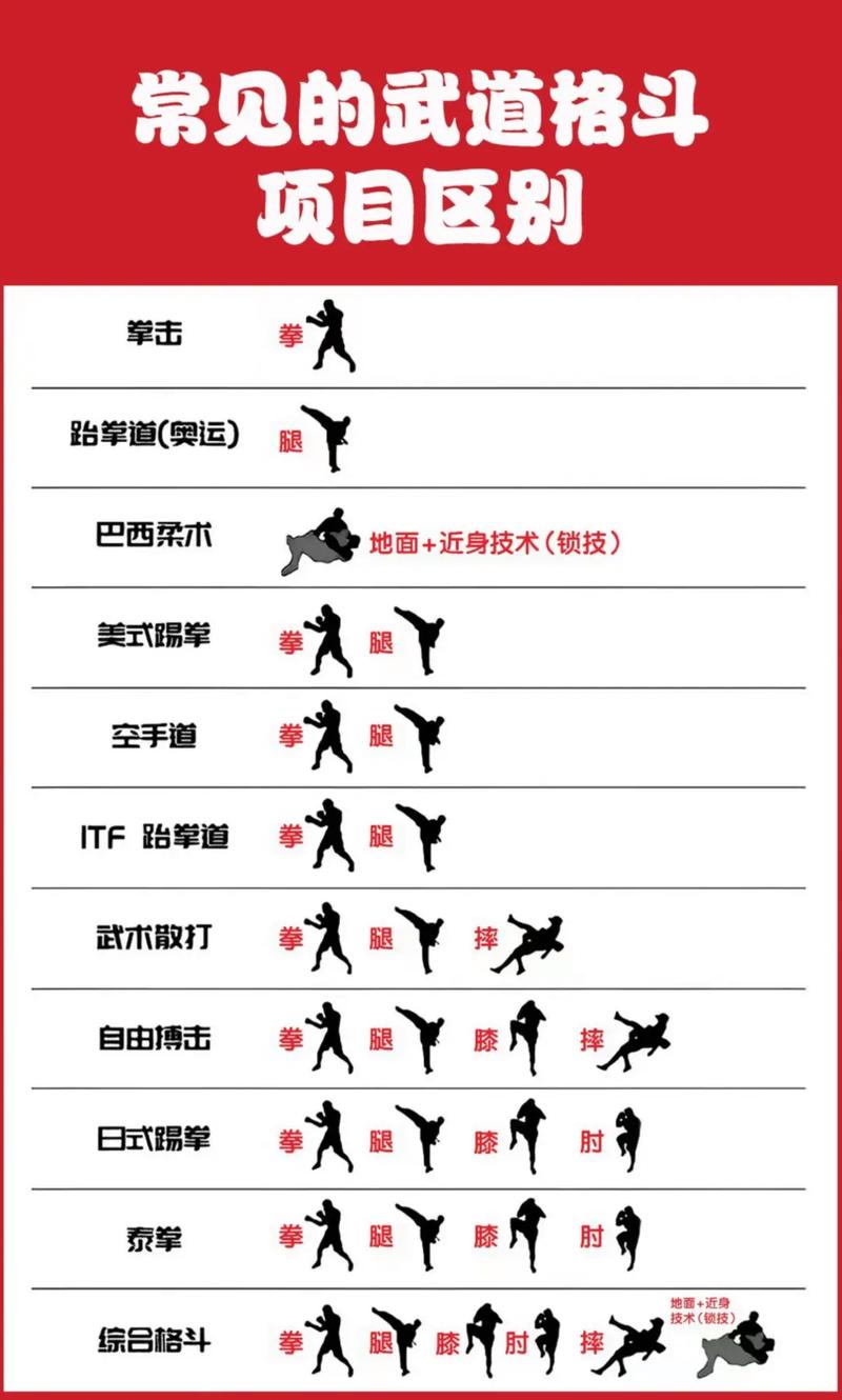 武术和武术项目具体有哪些区别？