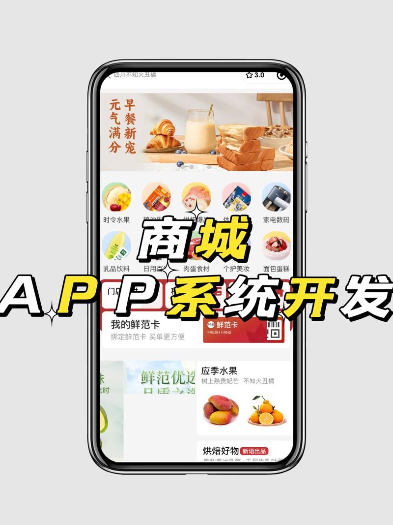 B2C商城系统开发项目，再签一个这样的项目，可行吗？