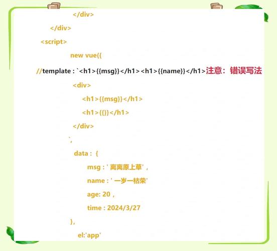 Vue的Options用法有哪些具体细节和技巧？