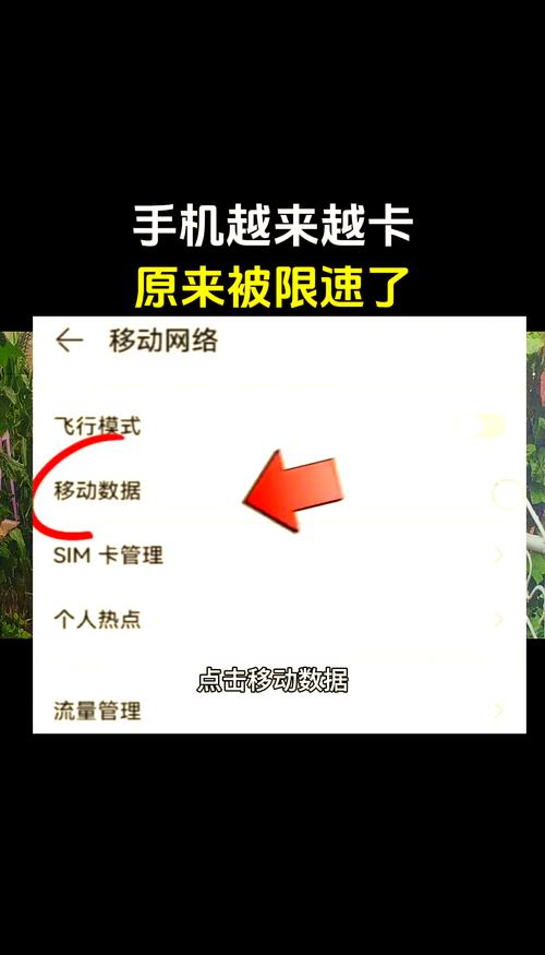网站运行卡顿，有没有什么方法能优化加速，让它变得快如闪电呢？