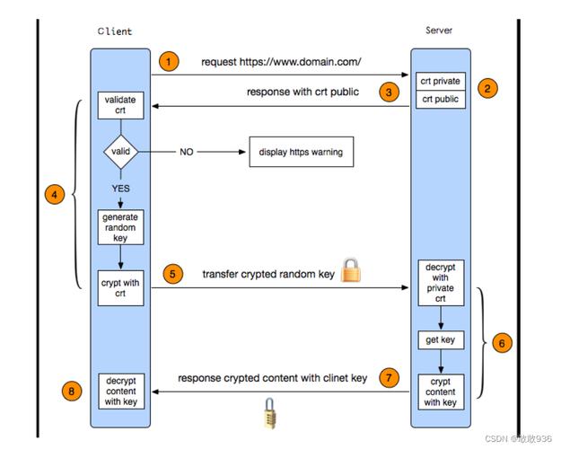 element ui select下拉框数据不回显怎么办？