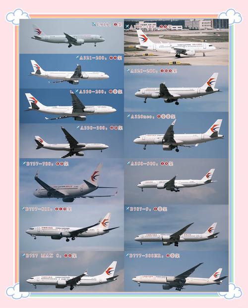 为什么79-C型号的产品在市场上如此受欢迎？