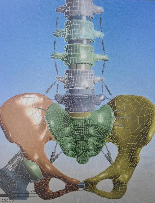 如何构建医学有限元鼻上颌骨复合体的三维有限元模型？