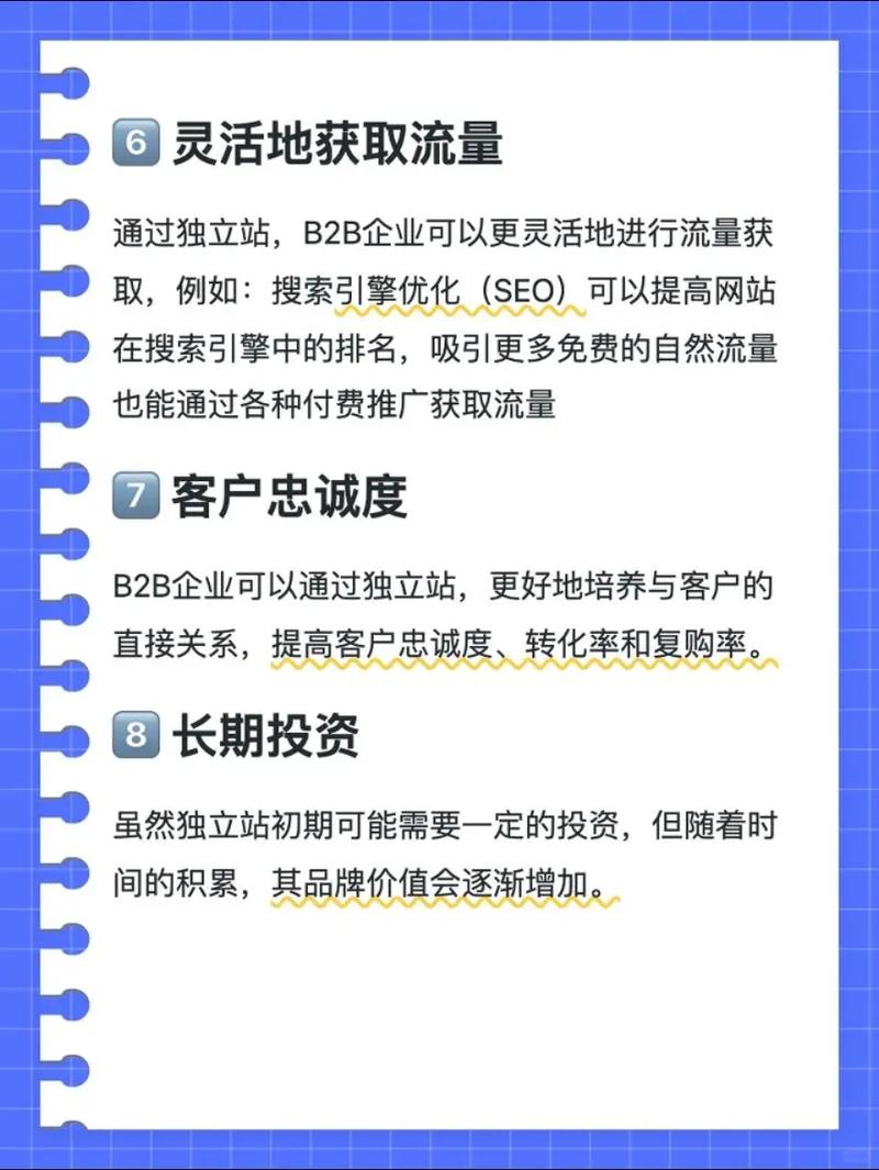 独立站是哪种平台？为何成为品牌出海的新生力量？