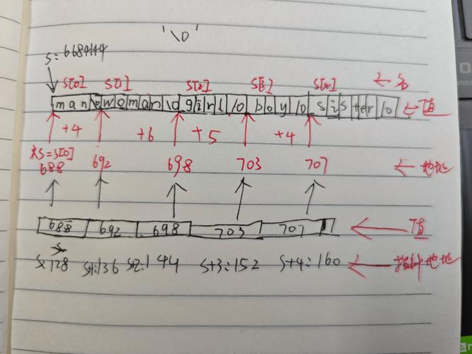 C语言中如何使用指向二维数组的指针进行操作？
