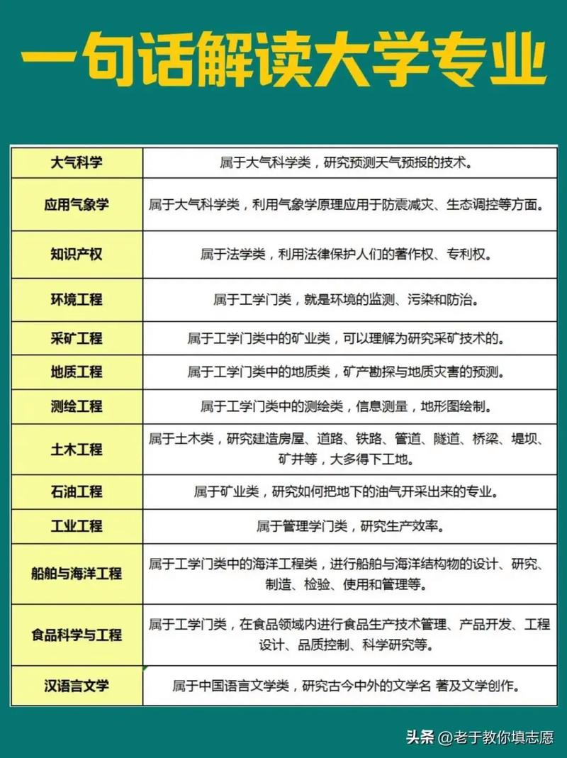 如何深入解析大学网站建设专业，包括专业名称及内容概述？