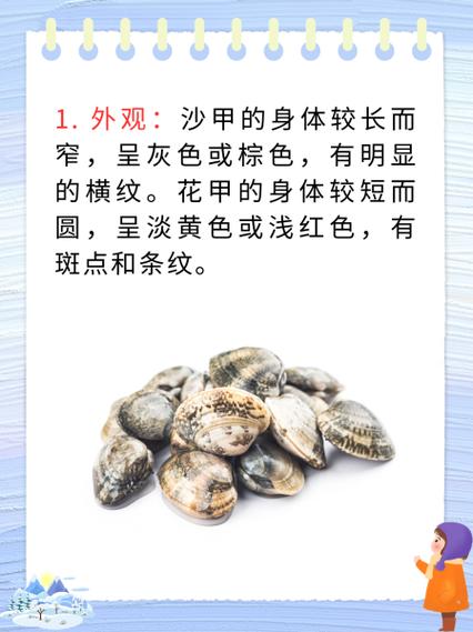 甲类项目和甲类究竟有何本质差异？