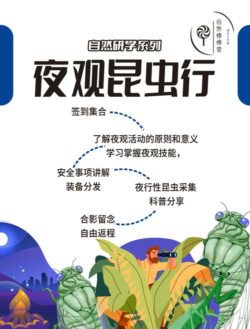 沐风启航，数字爬虫探秘之旅，有哪些奥秘等待我们去发现？