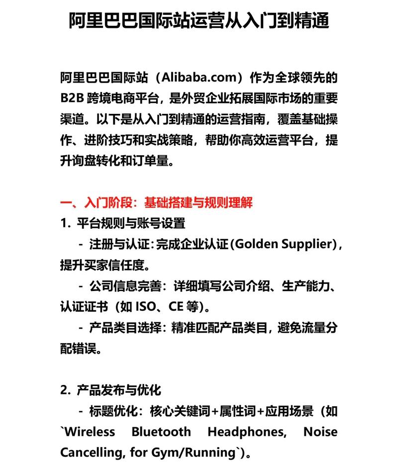 如何新手入门实操入驻阿里跨境独立站？