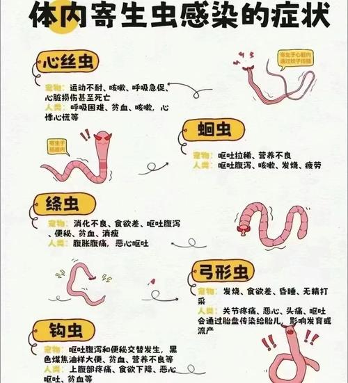 百度寄生虫排名背后真相是什么？揭秘流量密码的奥秘！