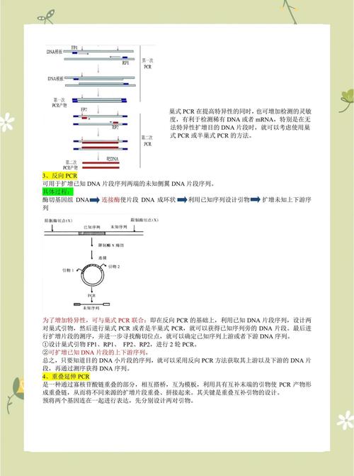 TiDB初探，有哪些深入细节和长尾知识点可以了解？