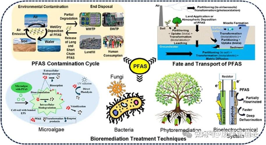 PDOStatement::bindParam 有哪些潜在陷阱需要注意？