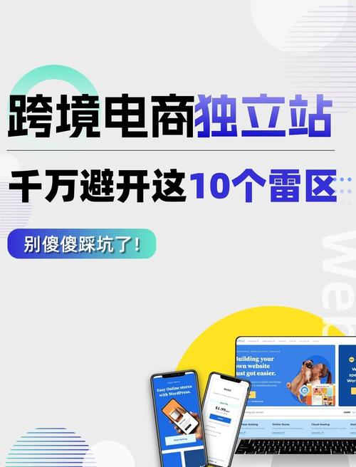 如何从零开始打造美区独立站跨境电商，避开三大坑，实现利润提升30%？