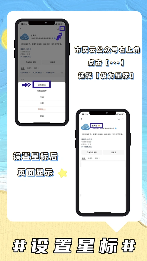 设置星标能带来哪些特定功能或便利？