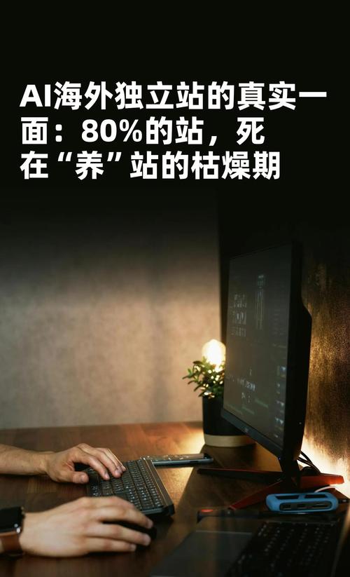 独立站销量到底能否查询？新手卖家必知真相！