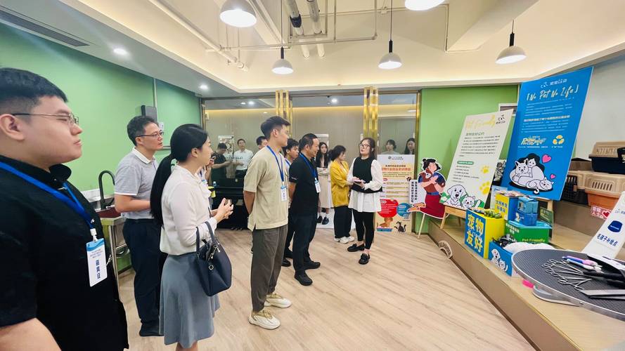 横琴SEO优化专家，总部企业汇聚地，哪家机构最专业呢？