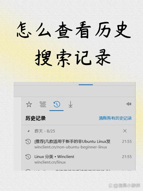 如何快速查看网页历史版本，追踪信息演变过程？