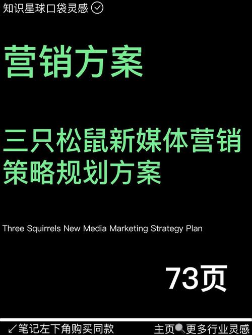 珠宝网站建设如何操作？三只松鼠营销模式怎么复制？